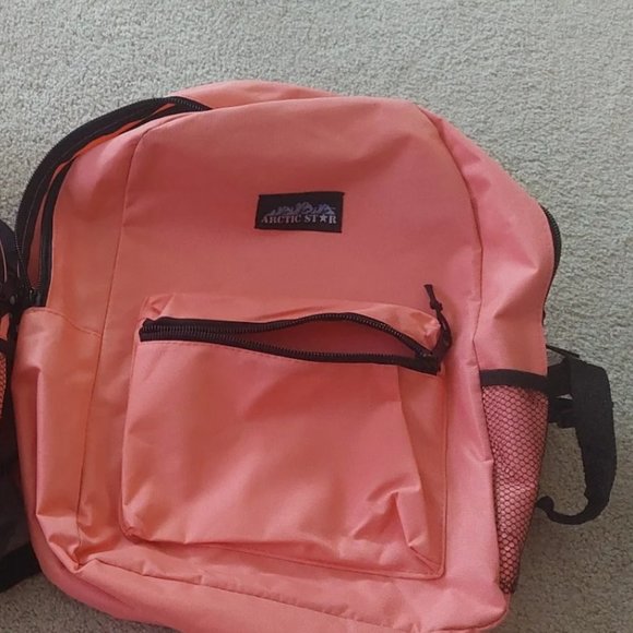 BackPack - Picture 1 of 1